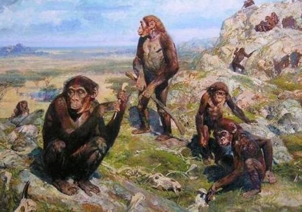 智人|为何黄种人和黑种人、白种人之间没有生殖隔离？难道同一个祖先？