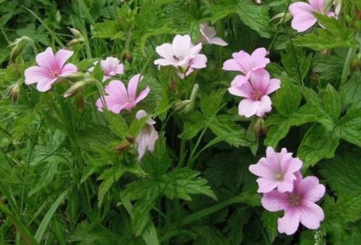 处女座|10月下旬开始吉星当头，横财飞涨，财旺福旺的四大属相