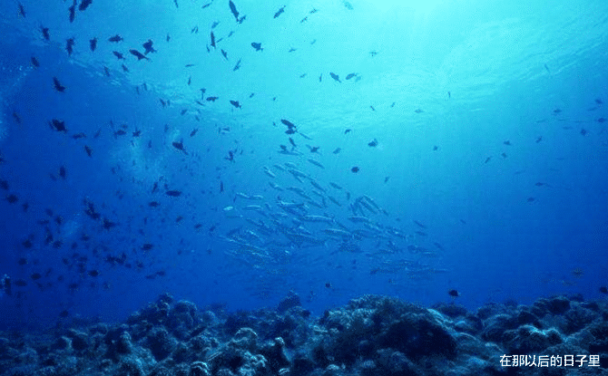 水底奥秘|海水为何不能当水喝？不仅是因为咸，煮干后你就知道有多恐怖了