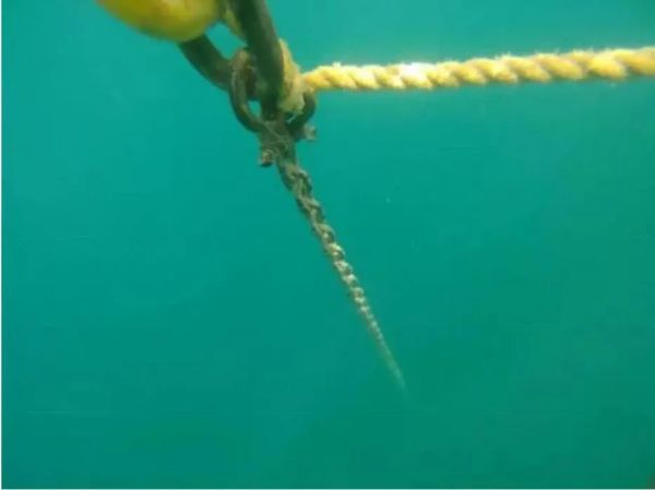 张让|16张让你对大海感到恐惧的图片