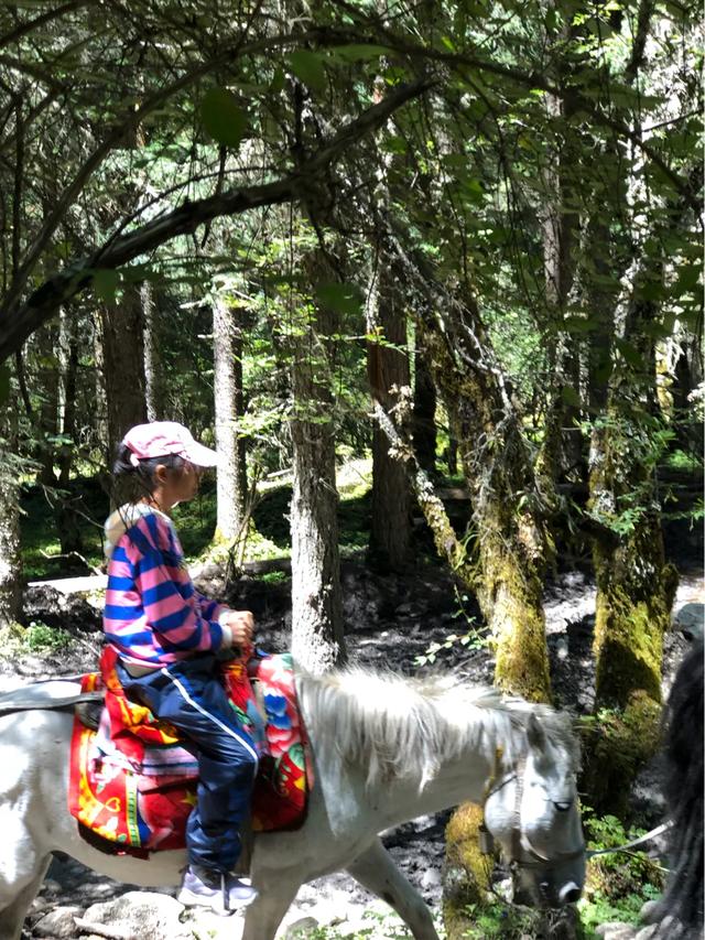 四姑娘山■美丽的四姑娘山