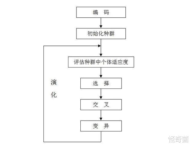 |既然人类是由猴子进化而来，为什么世界上现在还有猴子？