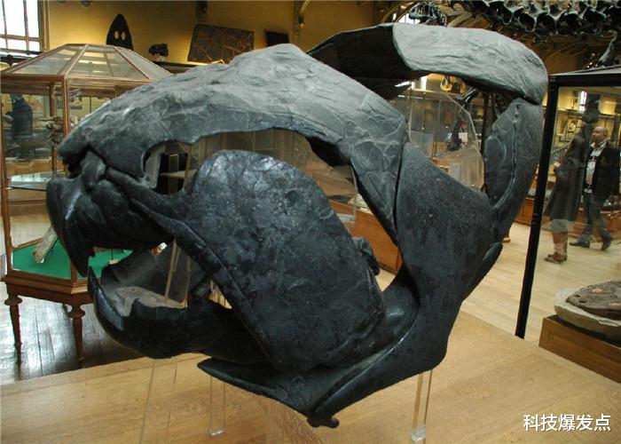 【科学家】没有牙齿的神秘生物,进食只能用骨头咬,饿极了连同类都吃!