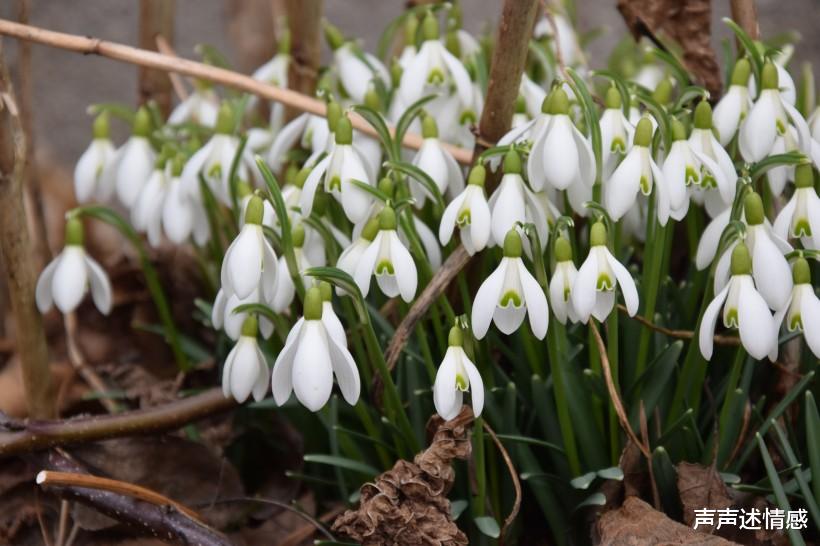 「巨蟹座」7月底，情缘深厚，邂逅良人，牵手爱情，余生共渡到白头的4生肖