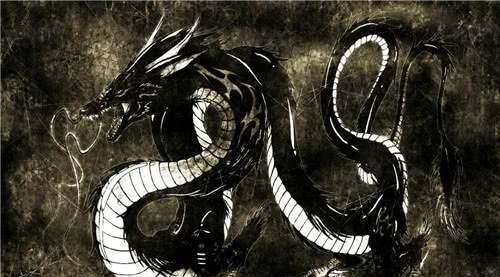 耶律阿保机|公元920年，辽太祖射死的 “黑龙”，究竟是什么动物？