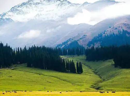 |中国最美100个景点，你去过几个？