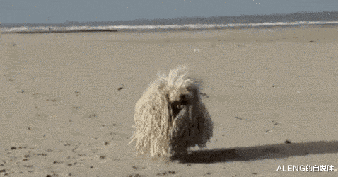 恒星|每秒狂奔24000公里：这颗恒星是疯了吗？