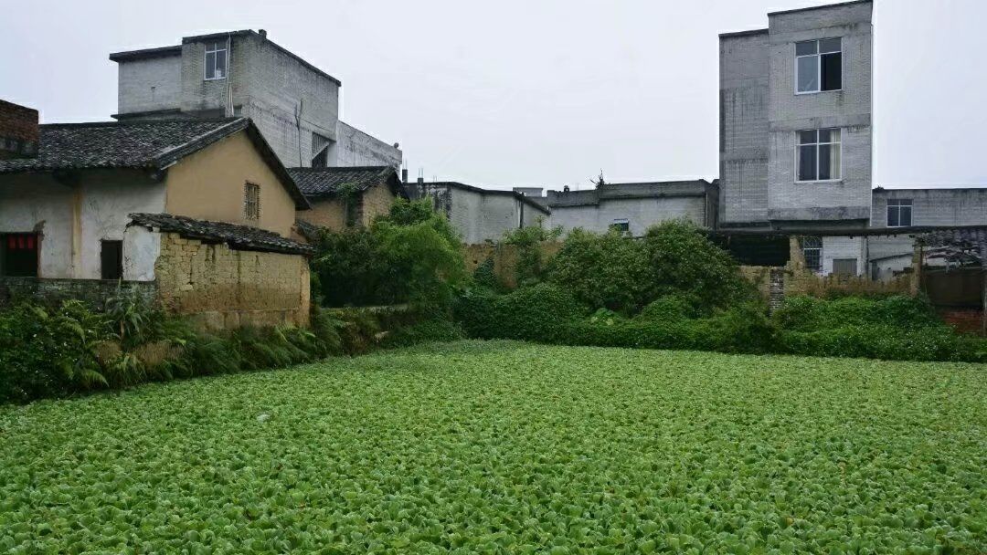 @一个快被遗忘的地方——谢村古城