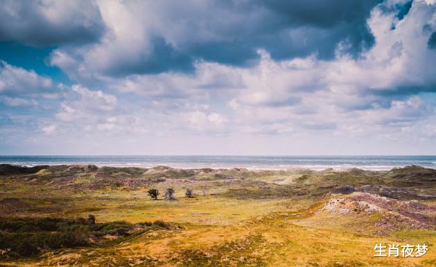 旧爱|10月中旬，心软了，心凉了，依旧不舍旧爱，重蹈覆辙也要爱下去的3大生肖