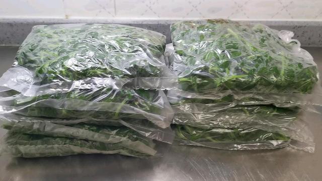 长寿|这种菜外国人叫它“长寿菜”,钙含量比牛奶还高,很多人都扔了