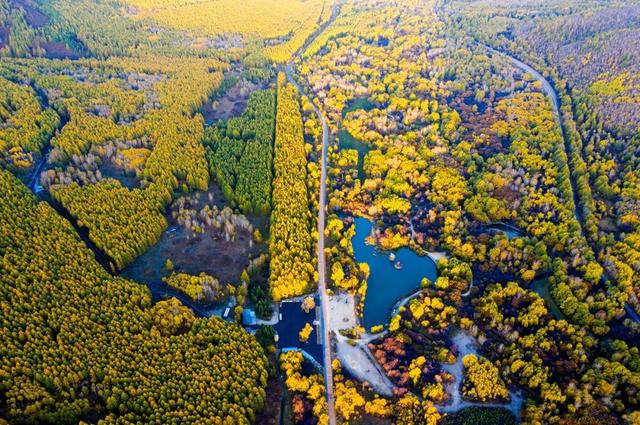 胡杨林|再过30天，全世界都要羡慕死中国了