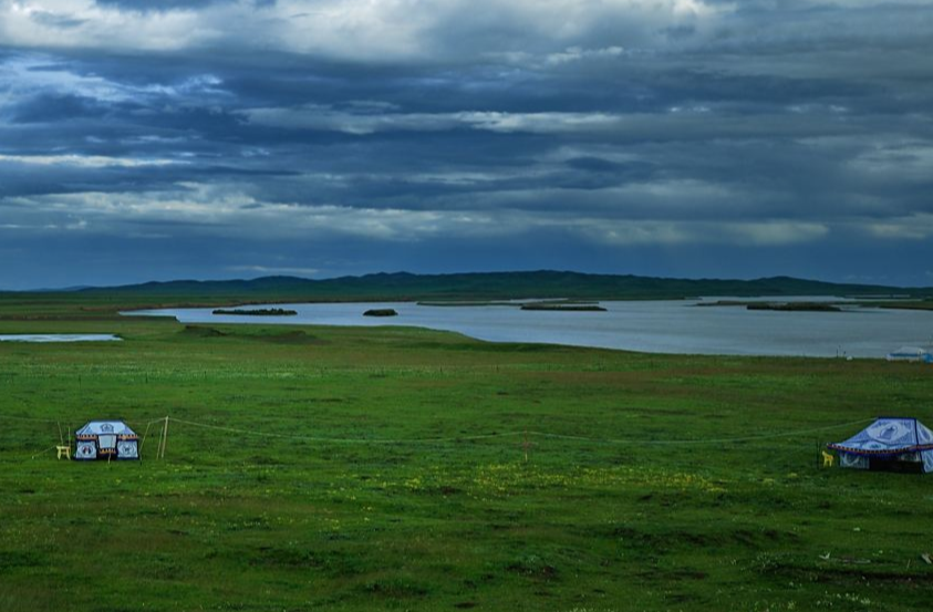 甘南|这些照片，很甘南！