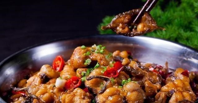 |从科学的角度看，鲶鱼真的最脏的鱼吗？