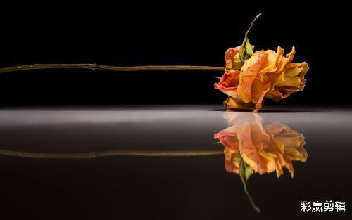 运势|越相处，越容易让人喜欢，越容易让你感到温暖的三个星座