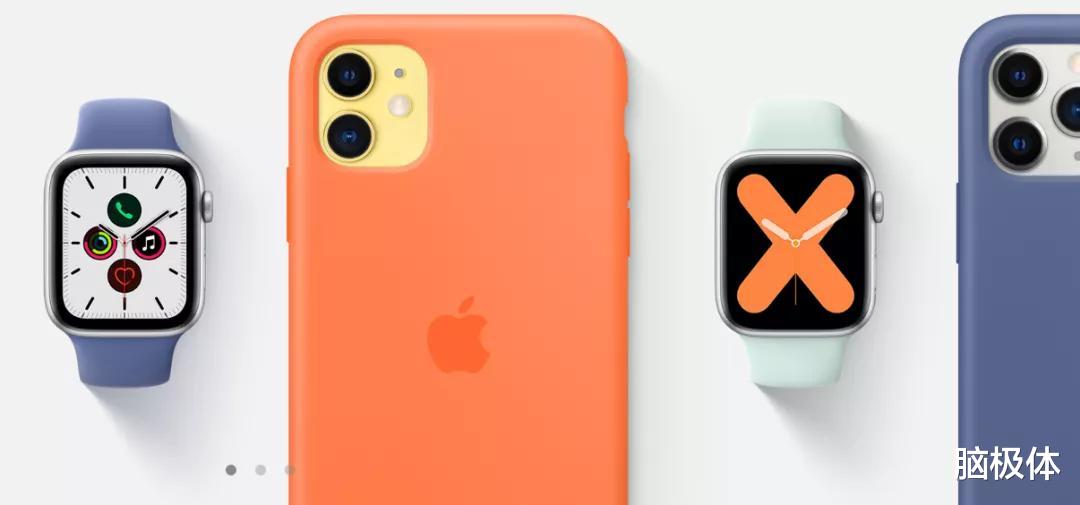 寒武纪|价格离谱的配件，与苹果摇摇欲坠的奢侈品人设