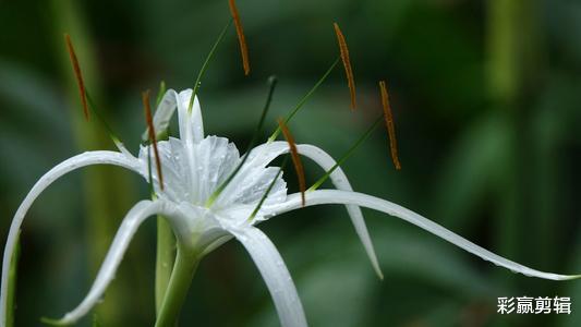 旧爱|10月上旬花好月圆，异性缘暴涨，能够收获爱情的四个星座