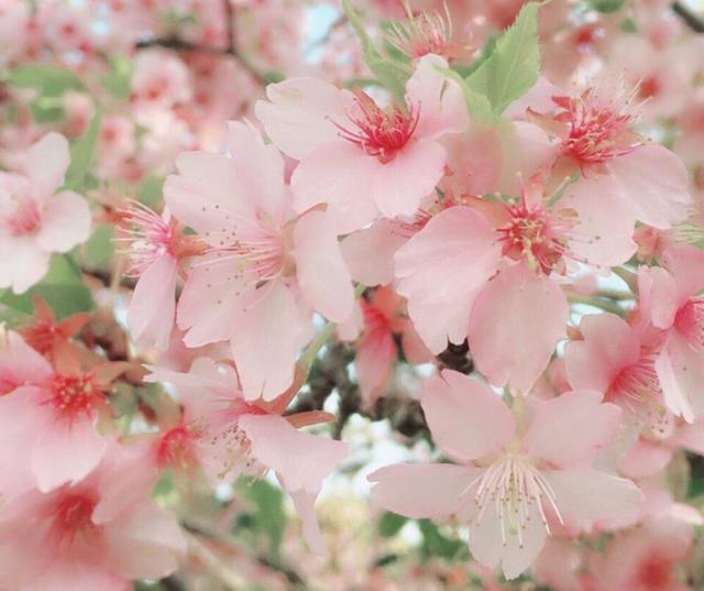 天蝎座|心里有了一个人，眼里就没有了别人的星座，对感情很忠贞