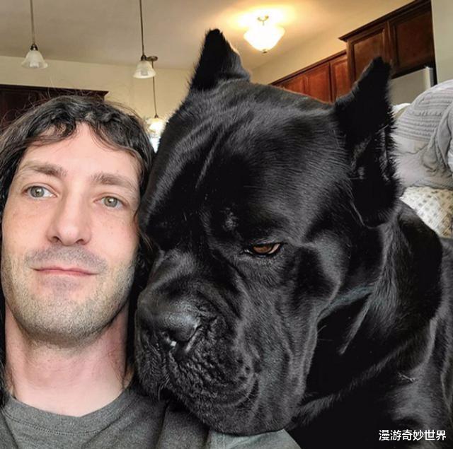 |看了对比图才发现，这些东西居然这么大…