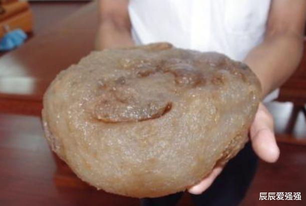 [科学家]“太岁”到底是什么东西？科学家给出答案：它已违背自然规律！