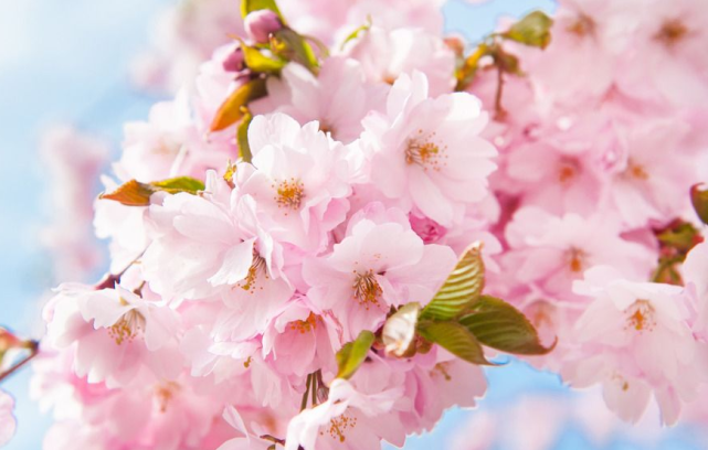 运势|在9月22号到来钱财大涨，运势大好，健康如意的三生肖