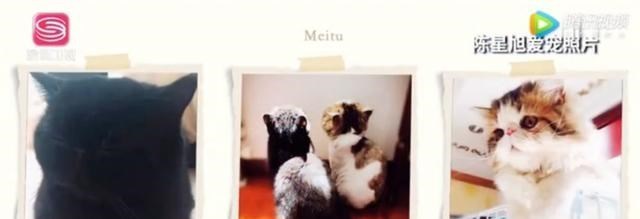 陈星旭|骗女友全家，伪装傻帅甜，这个娱乐圈恶毒男怎么还有千万粉啊