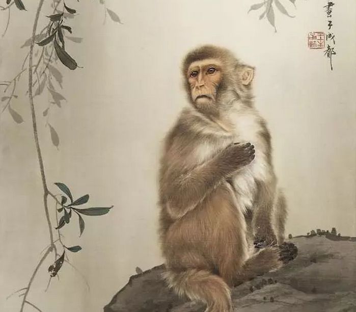 #水瓶座#大金猴:大喜临门,喜迎财神?3月中旬,财运红火