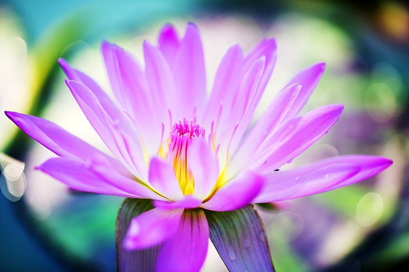 运势|八月开始，求财有道，运势大逆袭，福禄双全的4生肖