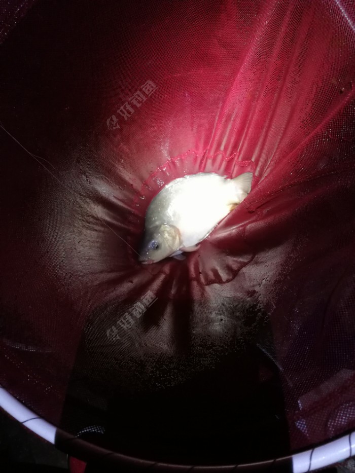 饵料|新车新鞋新头灯新配方，大鱼小鱼齐入护