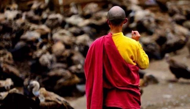 西藏|西藏不忍直视的天葬文化，现场满天秃鹫，却禁止游客观看