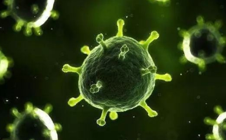 剑齿虎|人类为何没有天敌?研究者给出答案,让人意外