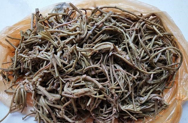 菱角|这菜现在正当季,遇上别手软,一次性屯10斤,凉拌清炒都鲜嫩