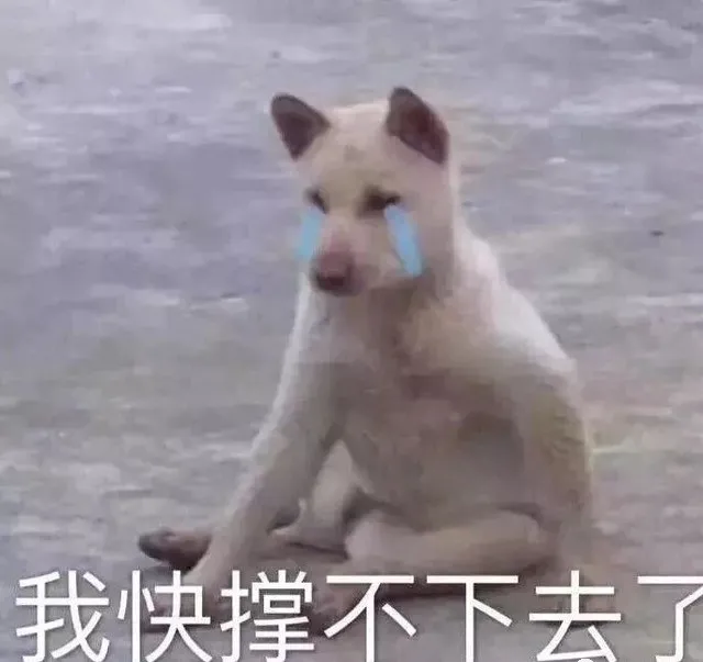 蚌埠论坛 15℃!还有大反转!在外务工人员回蚌需要这样做!蚌埠多家医院……