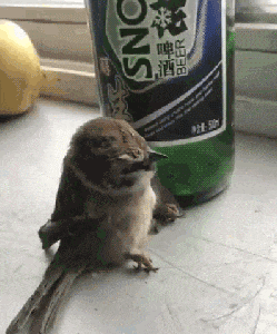 外星人|“外星人根据骨头，想象地球上的生物会是什么样的呢？”反差绝了