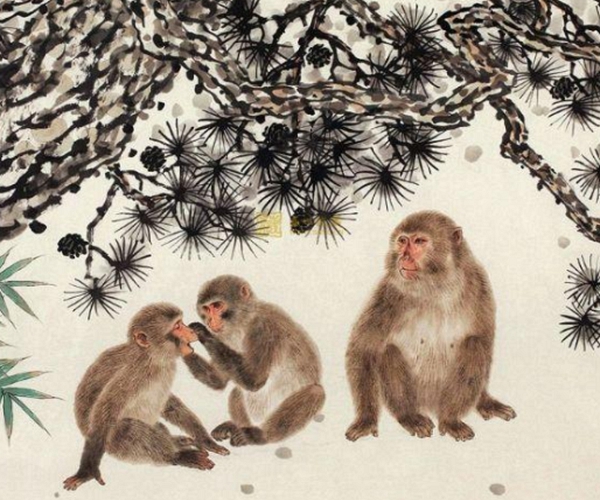 生肖：深山老人掐指一算：5月中旬一到，生肖猴家中有喜，神准！