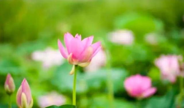 |一个人最大的错误，就是“和不要脸的人讲道理”