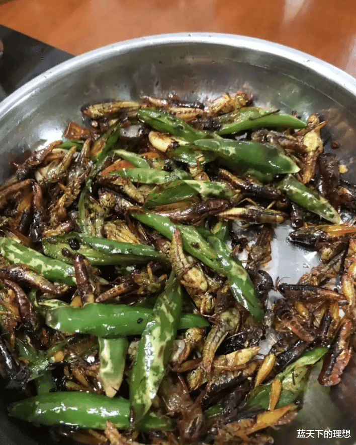 |“这操作真的是百密一疏哈，可惜最后还是败在了细节上！”