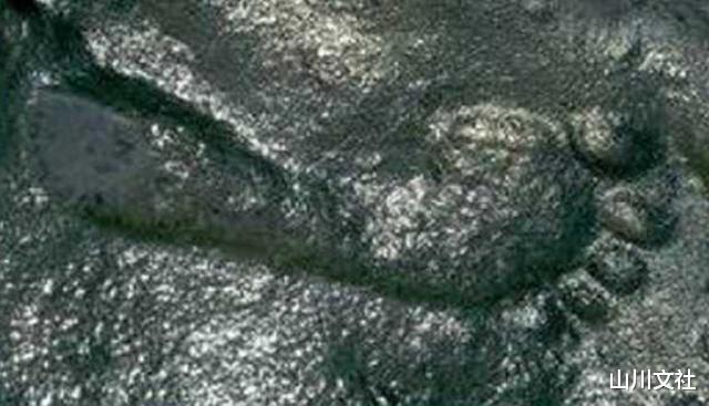 「古生物学」人类起源于何时？若说早在2亿年前就有了人类，肯定没人会相信