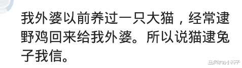 |我妈说小的时候，家里的猫会用尾巴在河边钓鱼，叼回厨房的柴堆，哈哈哈