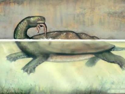 恐龙|为何远古生物的体型都很大，而现代动物却严重缩水？这一点很关键