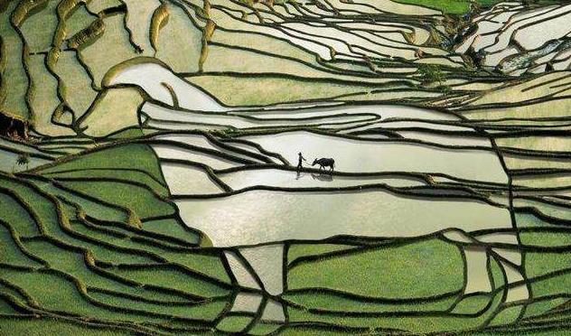 云南|云南的一个自治州，这座城市的经济增速赶超昆明，秒杀大理丽江