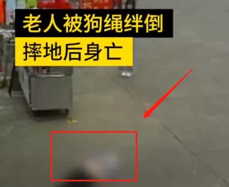 奔波儿灞与灞波儿奔|88岁老人被绊倒摔死，为啥全网都在骂那个12岁的小女孩？
