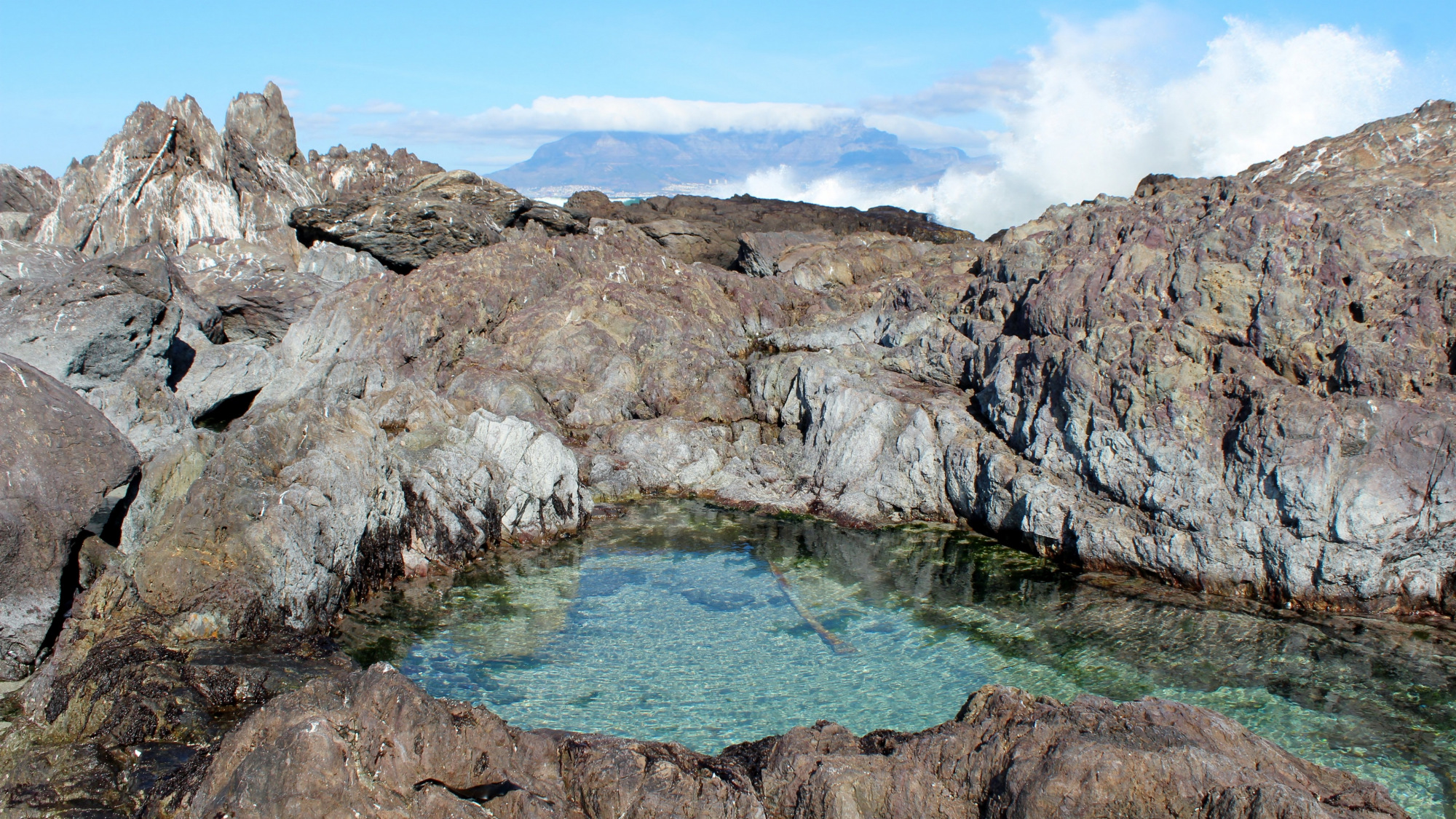 白羊座|9月底，他日重逢，宛如初见，无所畏惧，相拥而泣，感情迅速升温