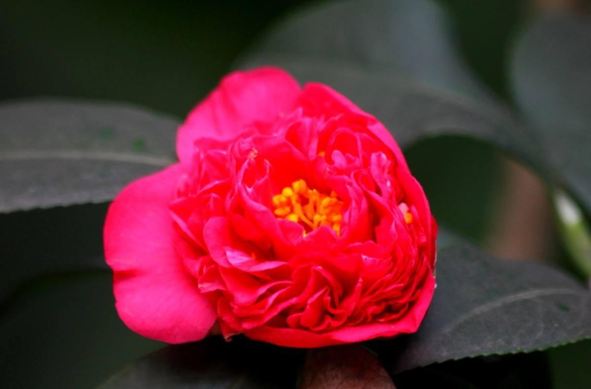 「」四月起，财气扎堆，洪福齐天，几大星座有贵人相助，财源滚滚