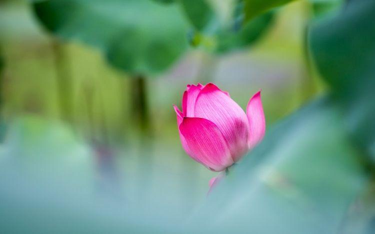 运势|9月22号起，好运势不可挡，财神爷青睐，财富无忧的四大生肖！