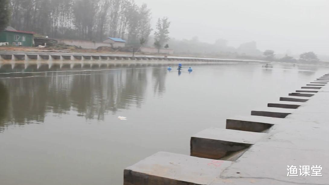 |钓黑坑更需要“钓技”，教你2招选好黑坑的方法，出坑再赚几十块