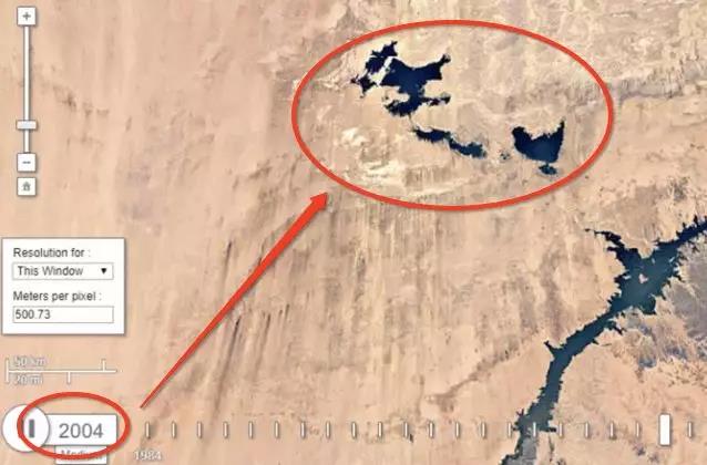 仙人掌▲地球上一个失败的大型工程…