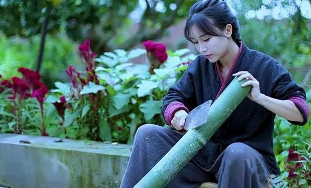 #演唱会#李子柒，我真的真的很嫉妒你！
