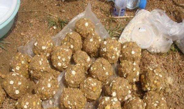 []钓鱼：3个打窝技巧，助你渔获多多