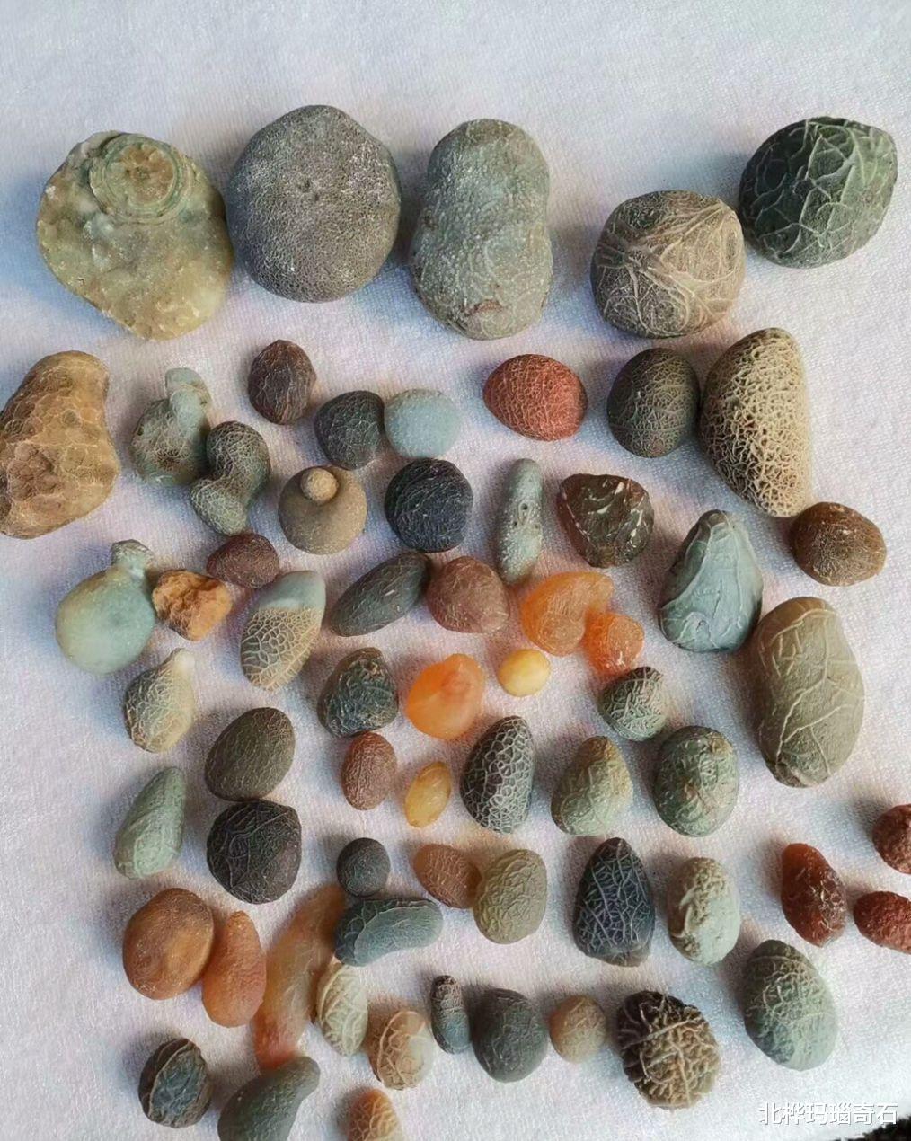 玛瑙|现在这个季节还能捡到石头