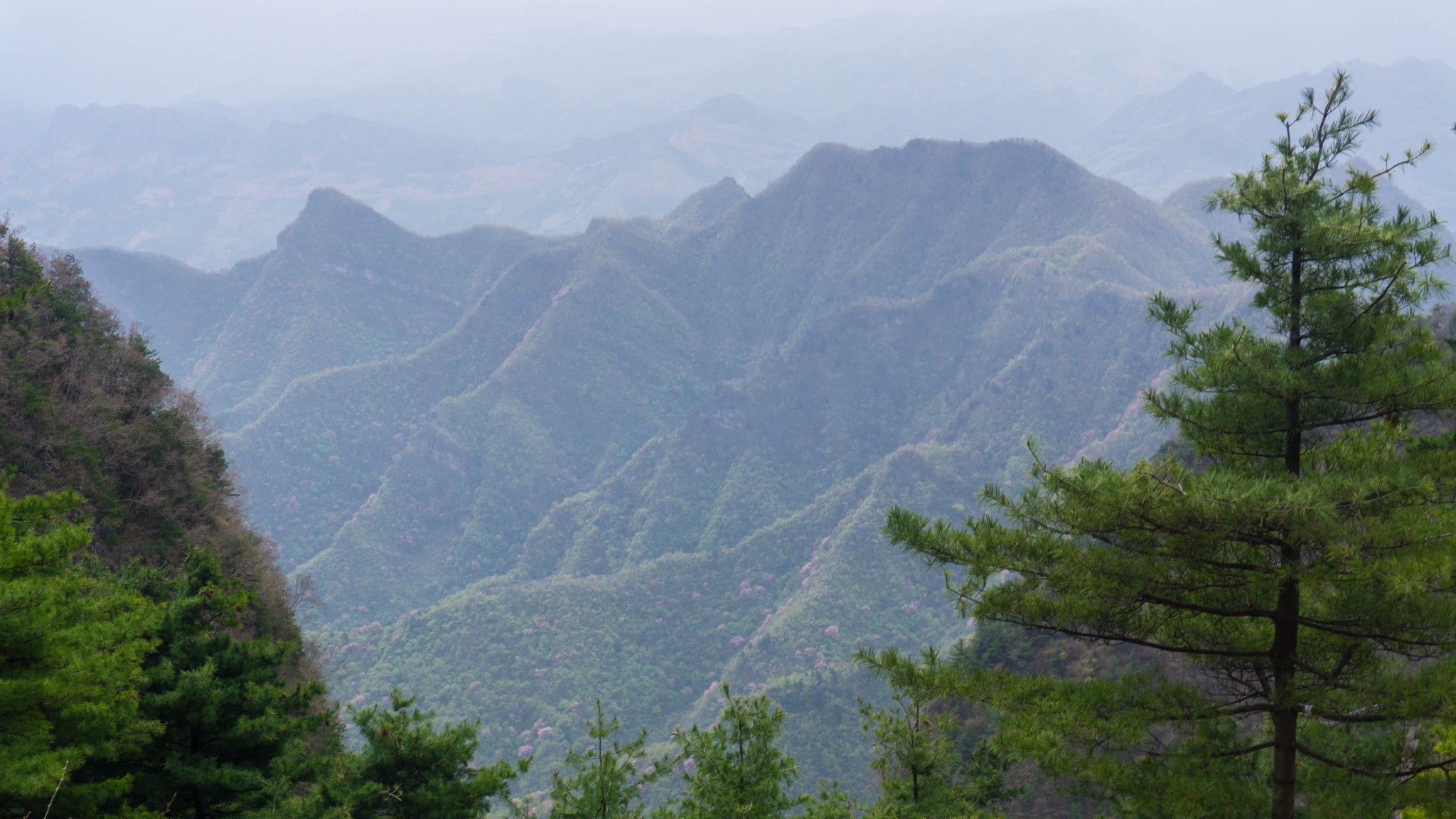 秦岭|隐藏在陕西秦岭中的4A景区，雾绕青峰仿佛置身仙境，世人很少知道